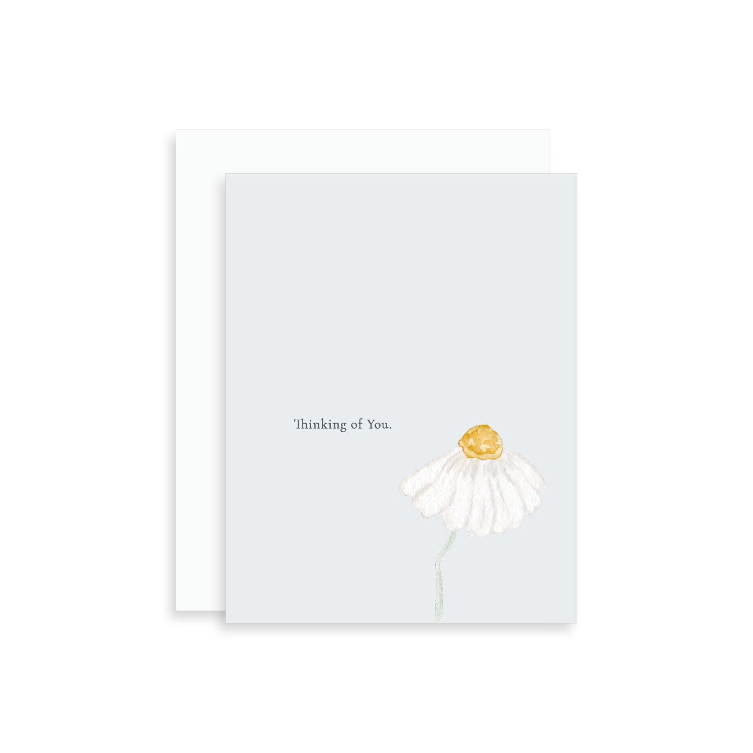 Thinking of You Daisy Greeting Card